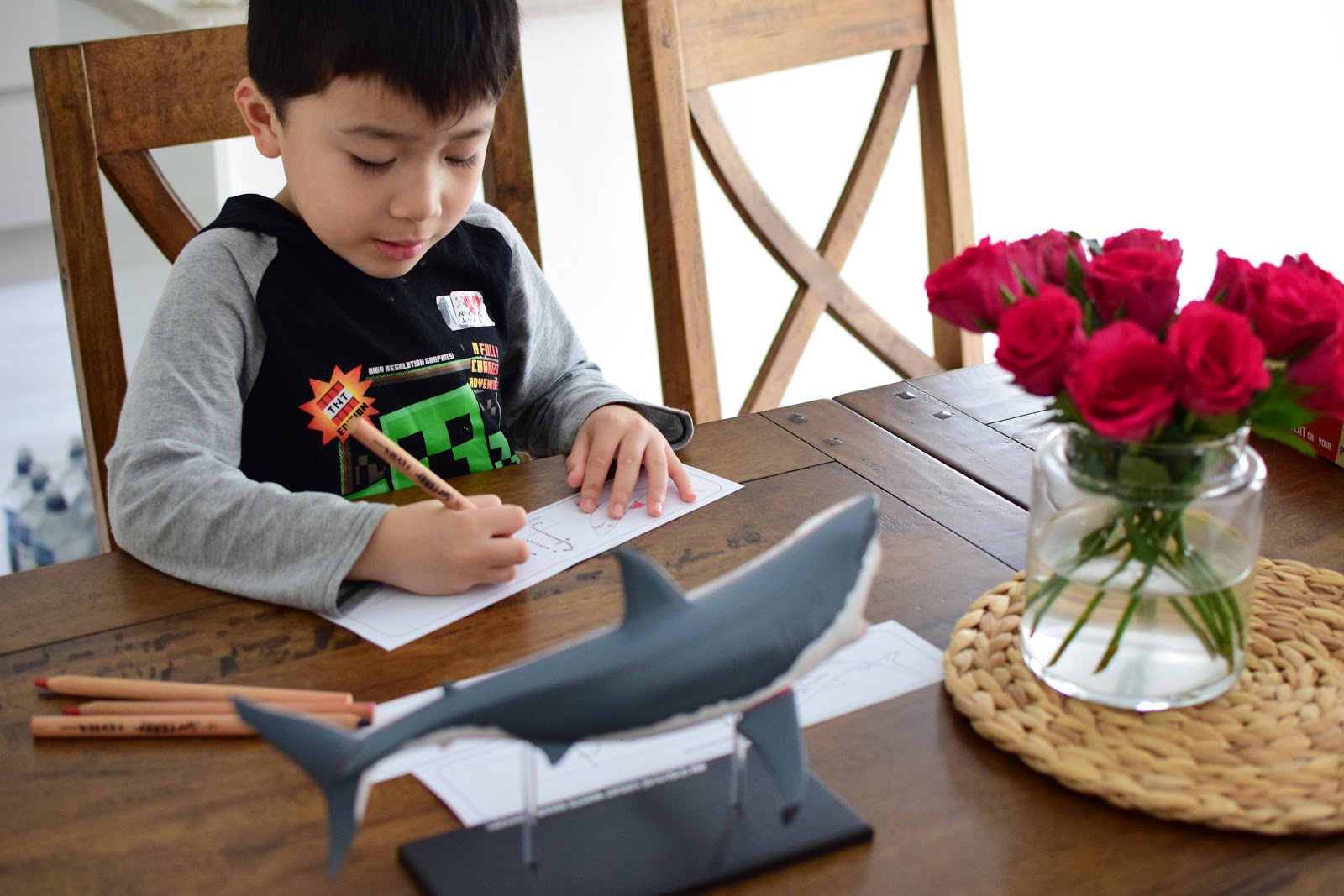 Learning About Sharks for Kids | The Pinay Homeschooler