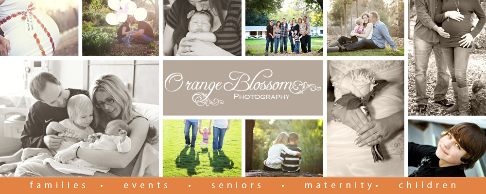 Orange Blossom Photography