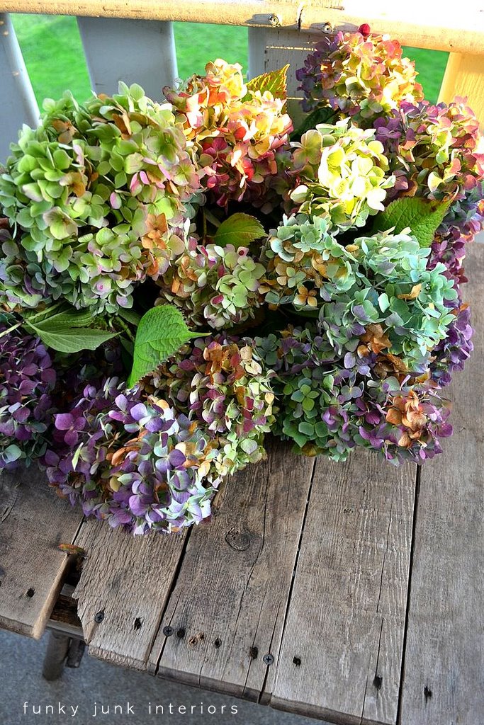how to dry hydrangeas with wiltfree petalsFunky Junk Interiors