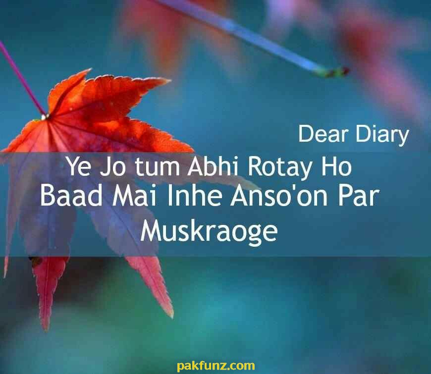 dear diary sad images quotes ye jo tum abhi rotay ho diary love quotes poetry poems status dear diary sad images quotes ye jo