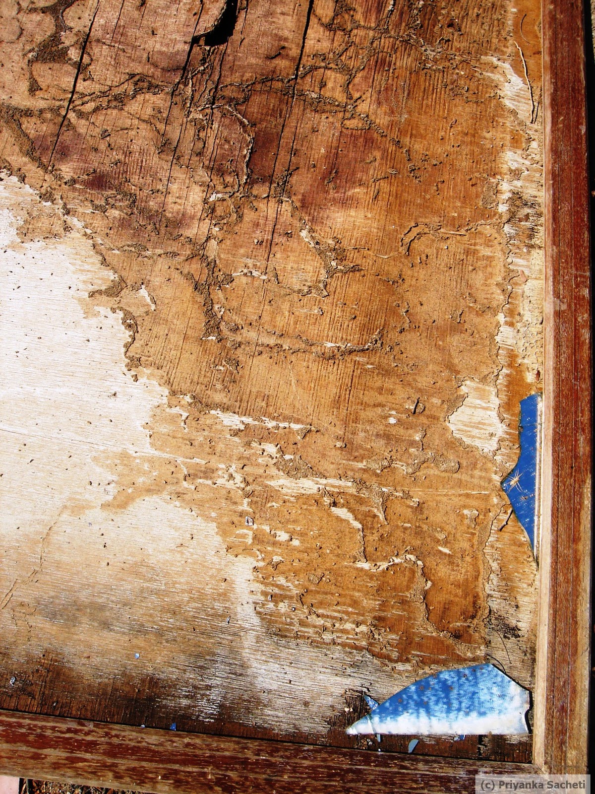 Shattered sky essays 07 image