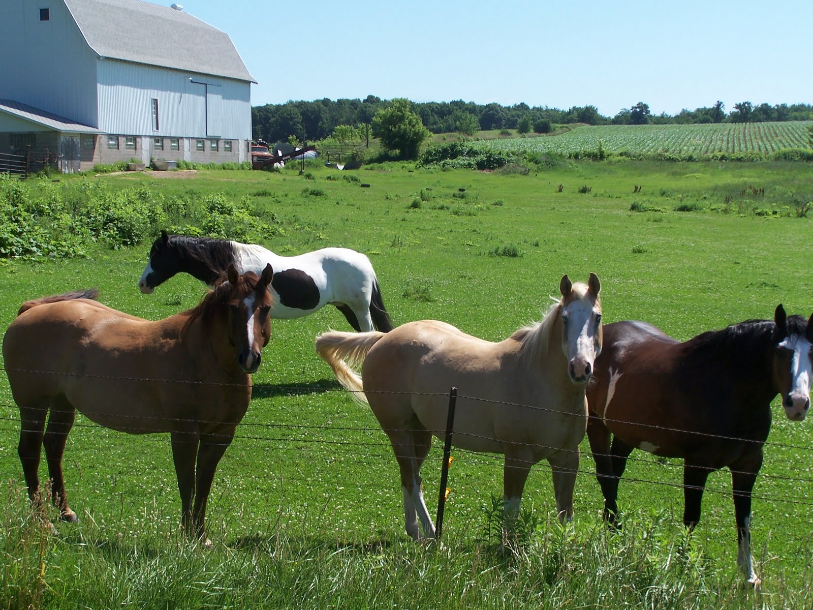 Powered By Pedals July 2nd Nugget Lake County Park Crystal Cave