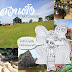 รีวิวเที่ยวสวนผึ้ง ราชบุรี ไปนอนยวนยีชมแกะน้อย งามหยดย้อยอุทยานหินเขางู สวยจุ๊กกรูเมืองโอ่งมังกร สุดอรชร ดีเริ่ดสะแมนแตน