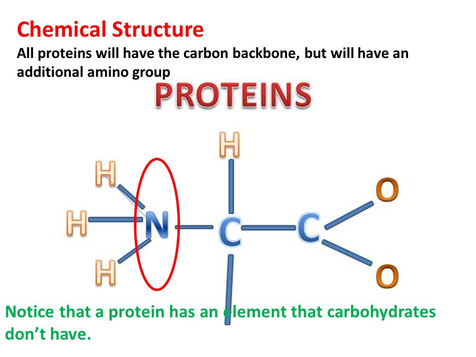 Basic Structure Of Protein