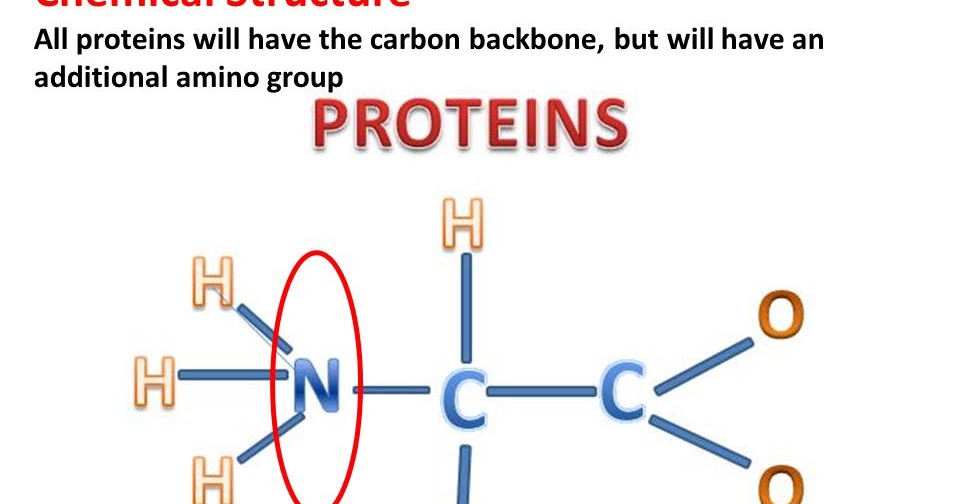 Lecture Notes in Medical Technology Lecture 10 Proteins