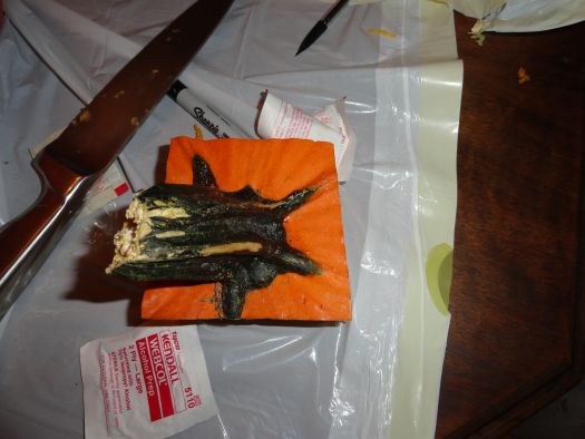 Color Week Challenge: Orange