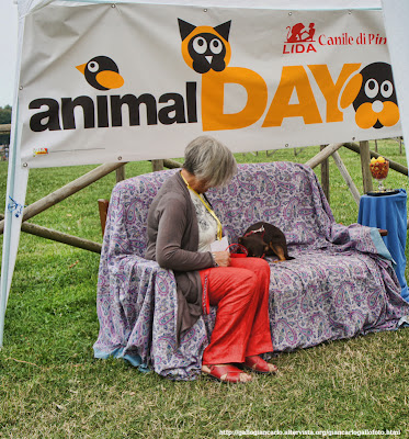 animal_day