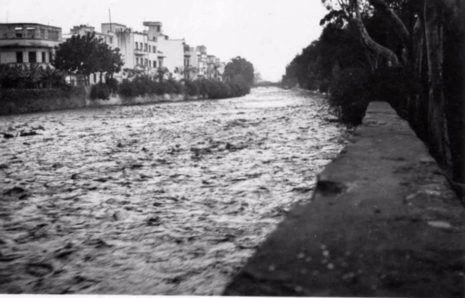 VEGUETA CASCO HISTORICO FUTURO PROYECTO GUINIGUADA