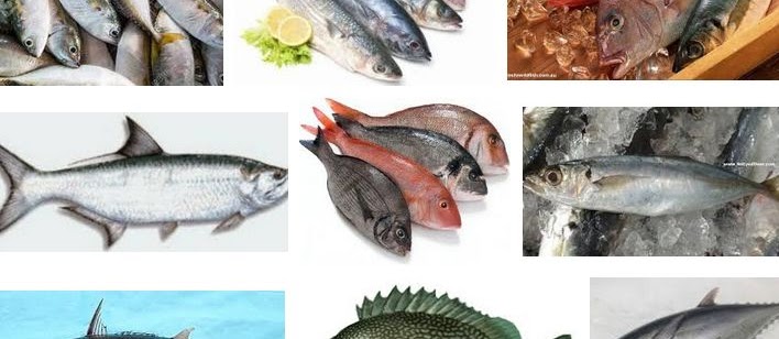 Ikan Laut Konsumsi? Berikut Nama dan Gambarnya