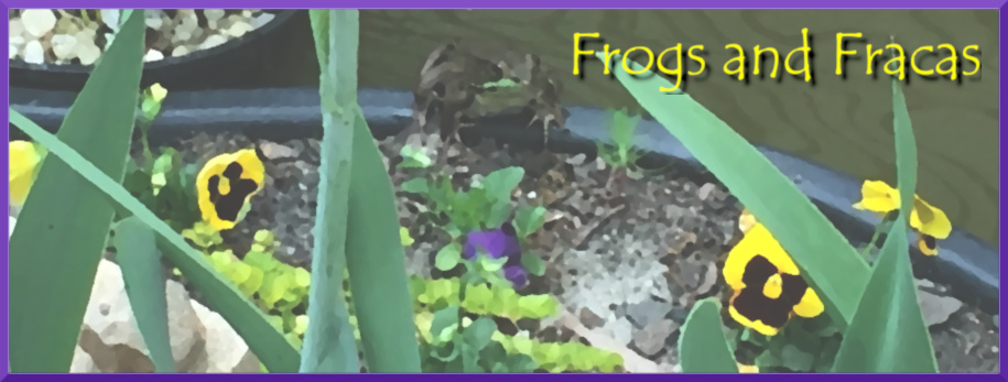Frogs and Fracas