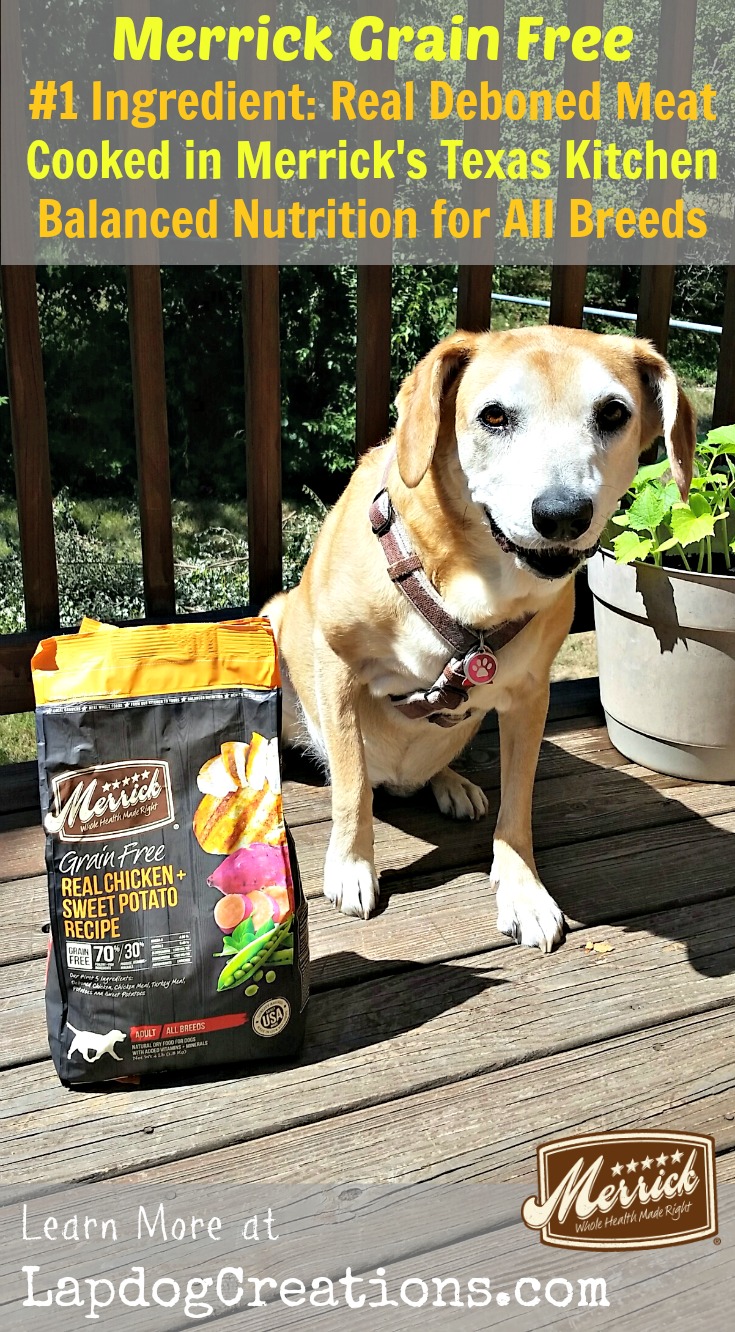 Merrick Senior Dog Food Merrick Senior Dog Food