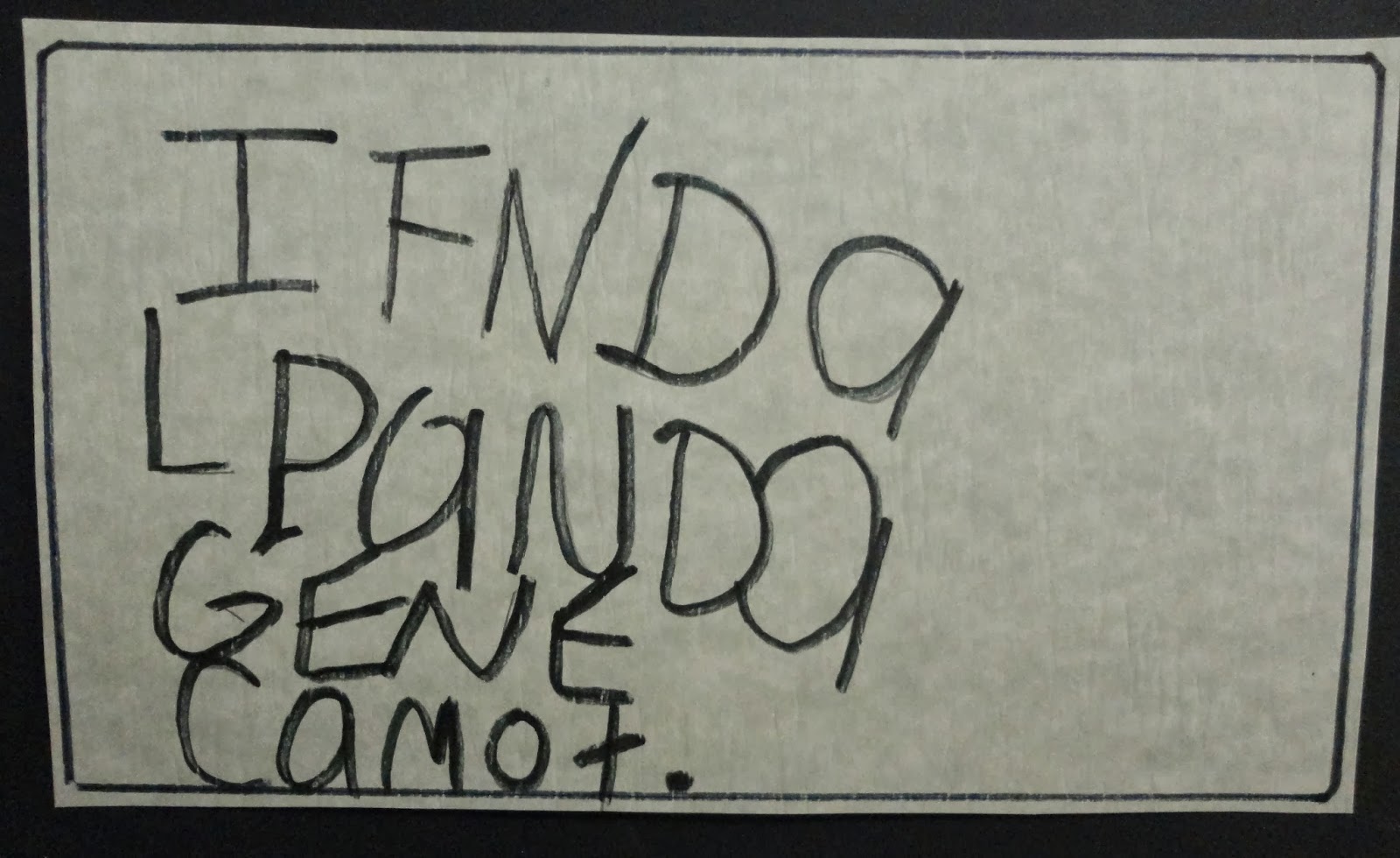 Spidertown essay image