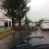 Ramas se vienen abajo por el viento y la lluvia en la Avenida Periodismo