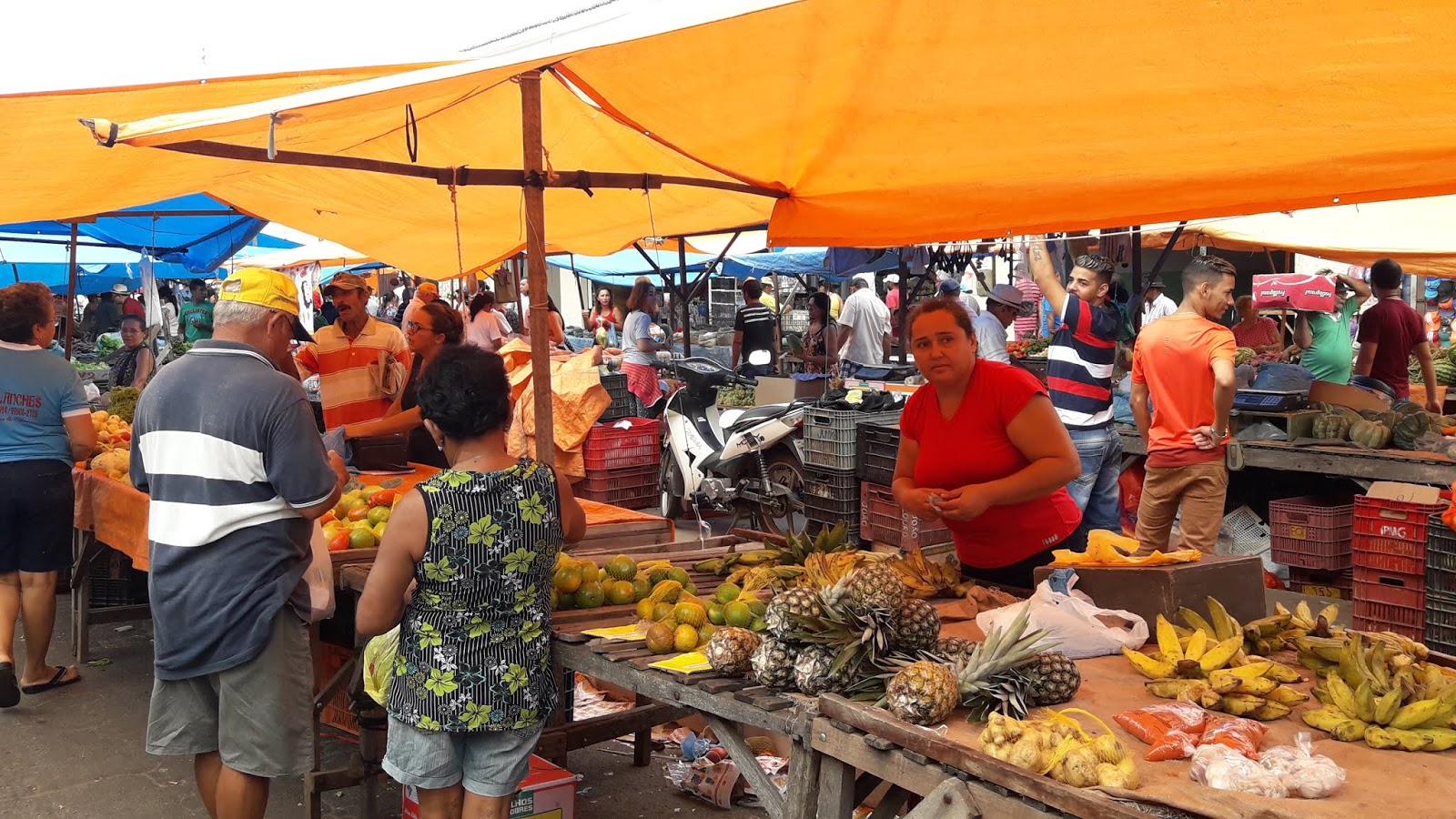 DIÁRIO LAJESPINTADENSE 11 ANOS Santa Cruz Feira Livre sente os