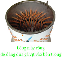 long may vat long ga