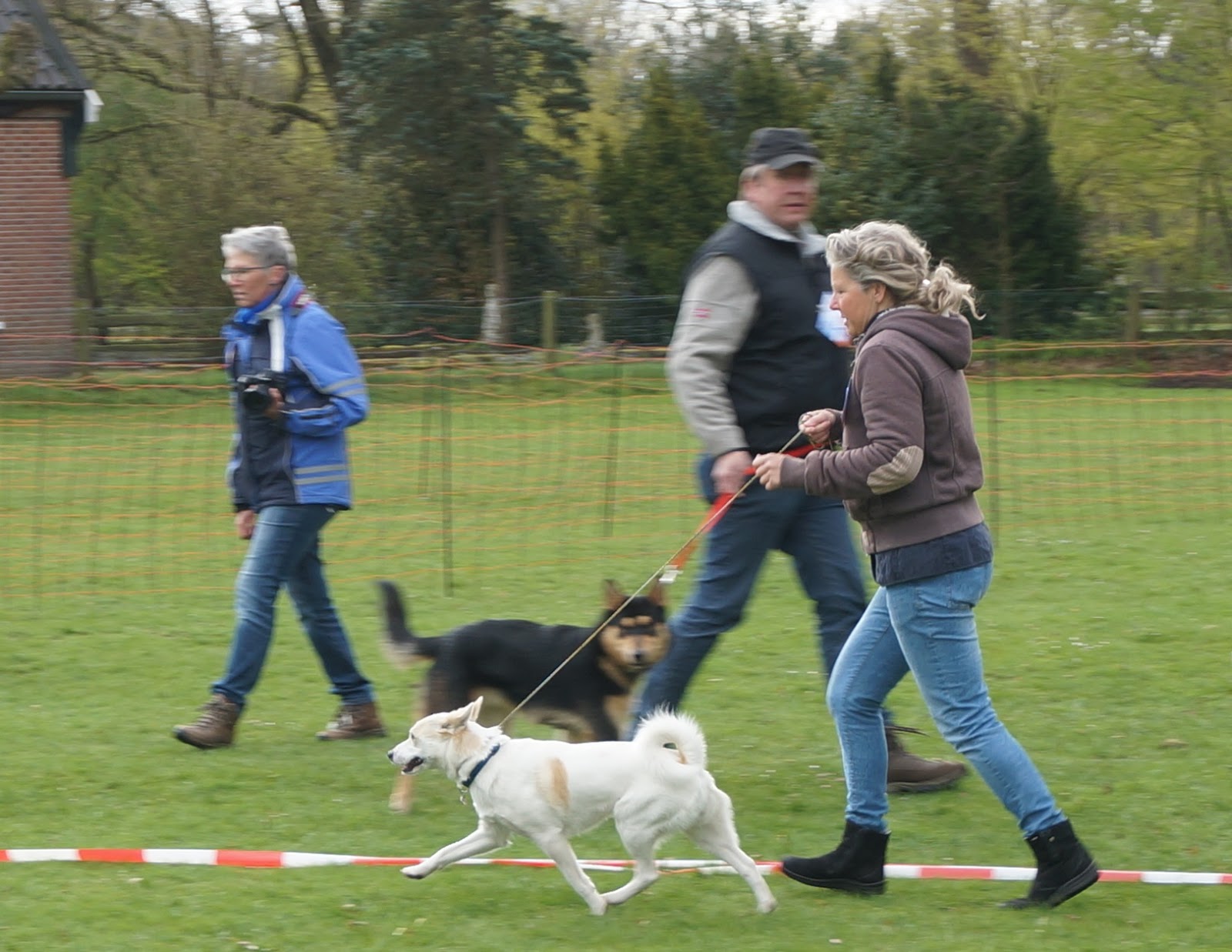 KLUIFJES: IN DE BAN VAN DE RING - SECOND CHANCE