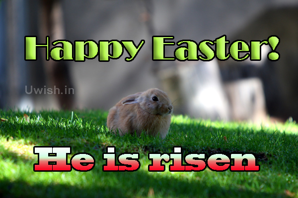 Happy Easter. He is risen  Happy easter e greeting card and wishes.