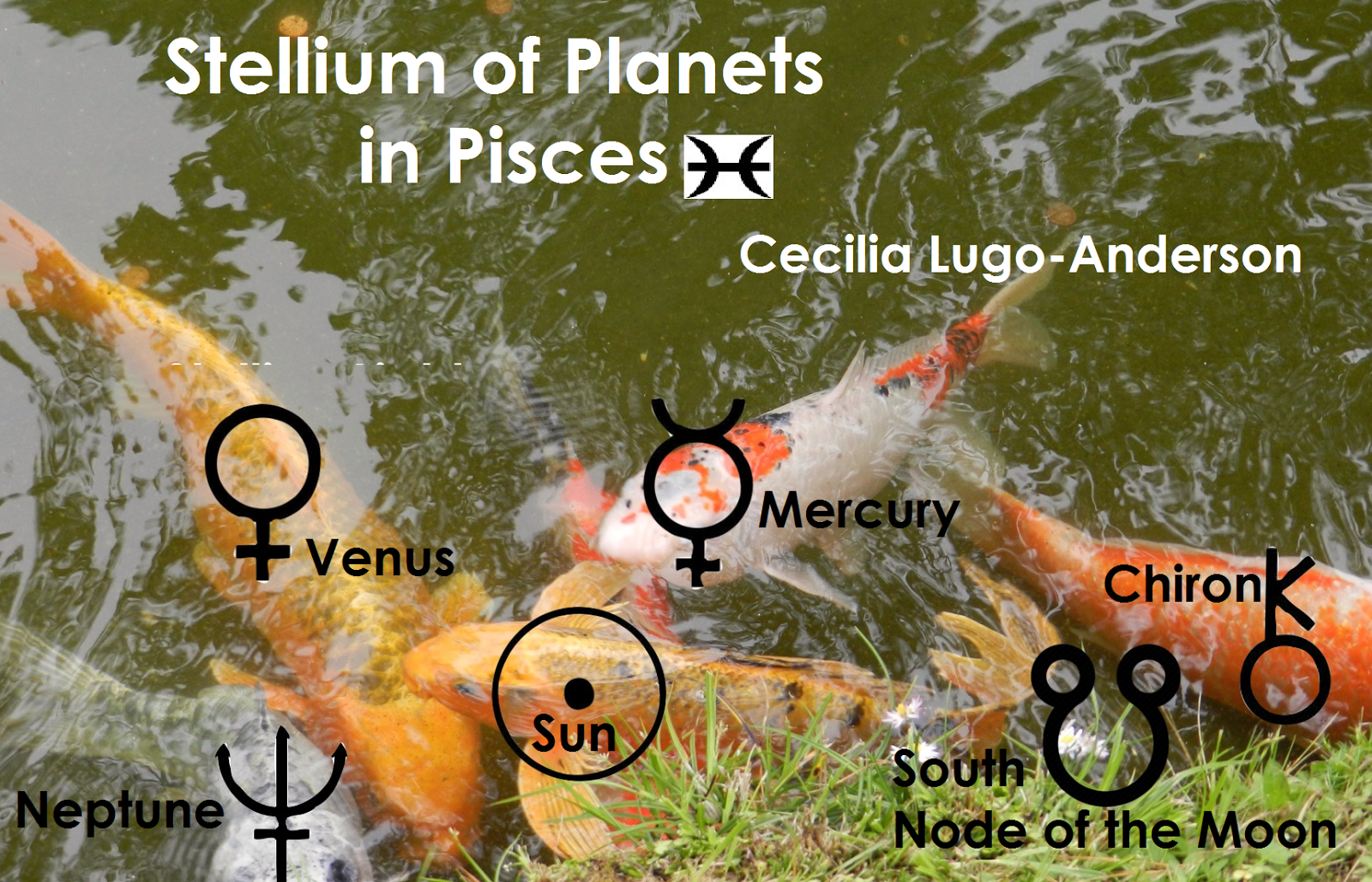 Dating venus in pisces