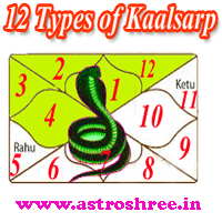 12 Kaalsarp Yoga And Their Impacts In Life, Remedies of Kaalsarp yoga, Astrologer for kaalsarp yoga analysis and solutions, Astrologer For kundli reading for kaalsarp yoga and solutions. 12 Kaalsarp Yoga And Their Impacts In Life, Remedies of Kaalsarp yoga, Astrologer for kaalsarp yoga analysis and solutions, Astrologer For kundli reading for kaalsarp yoga and solutions.