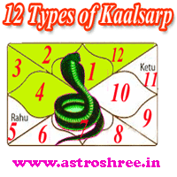 12 Kaalsarp Yoga And Their Impacts In Life