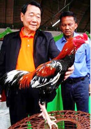 Gambar Ayam Bangkok Juara Milyarder Mania Jago Jawara