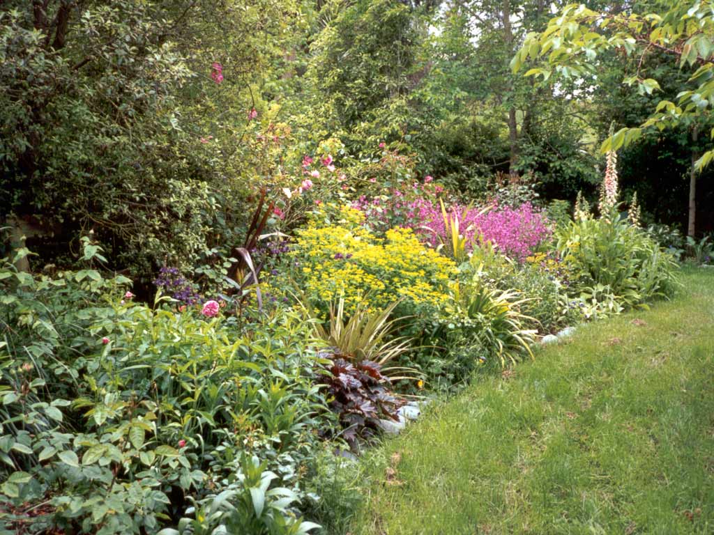 Woodland Shade Gardens for Kaye Blomeke SemiShade Garden Border (Area 2)