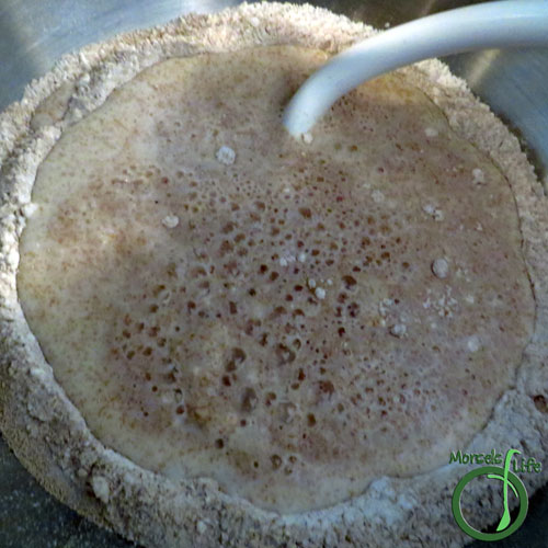 Morsels of Life - Basic Pizza Crust Step 3 - Add in milk, mixing until dough formed. You may need to add a bit more milk or flour to form the dough.