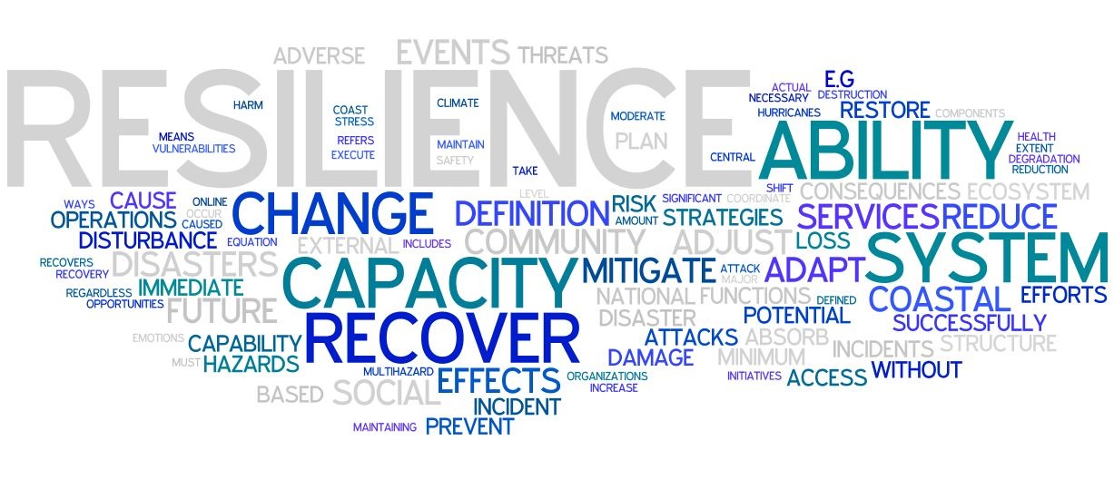 Adverse event. Resilience Definition. The ability to take risks..