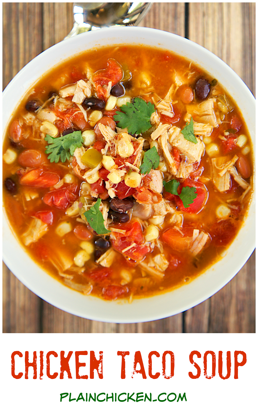 Chicken Taco Soup {Two Ways} - Plain Chicken