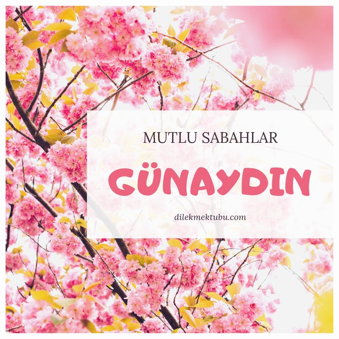 Guzel Anlamli Kisa Resimli Gunaydin Mesajlari Ve Sozleri