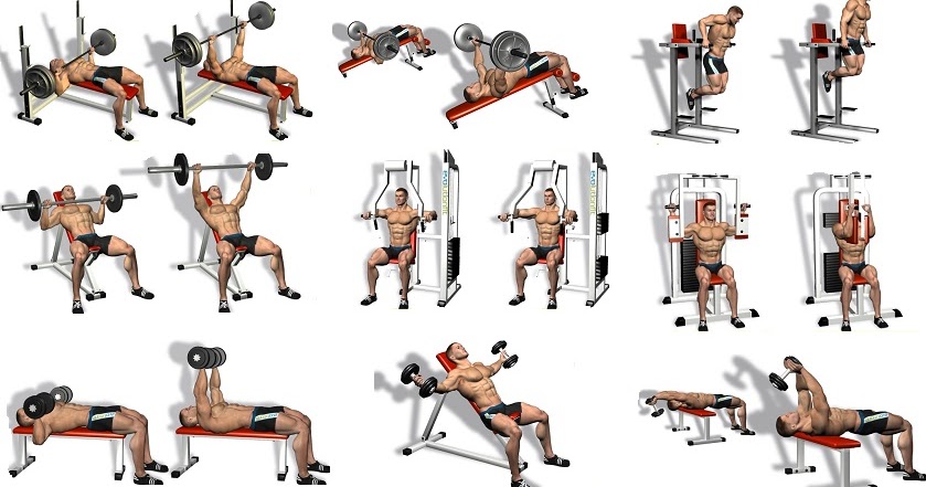 Five Best Chest Exercises To Make The Gym Jealous Of Your Pecs