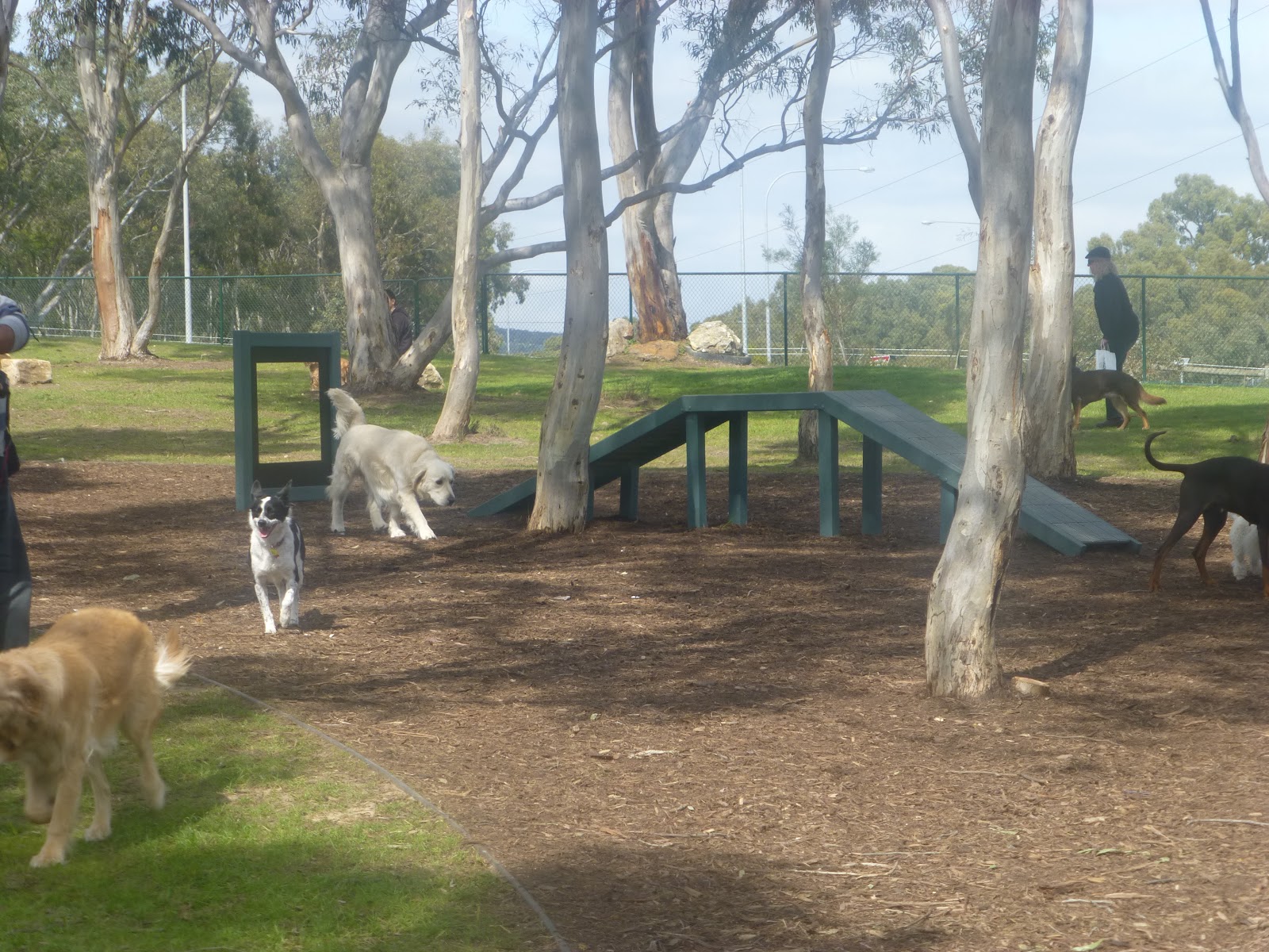 WAX Design Dog Park Officially Opens