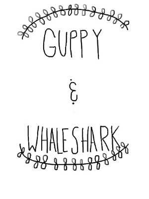Guppy & Whaleshark