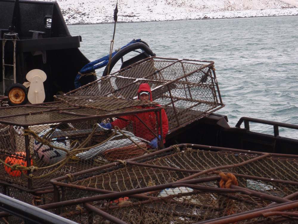 A Rebel, A King and the Bering Sea One of the now famous “Deadliest
