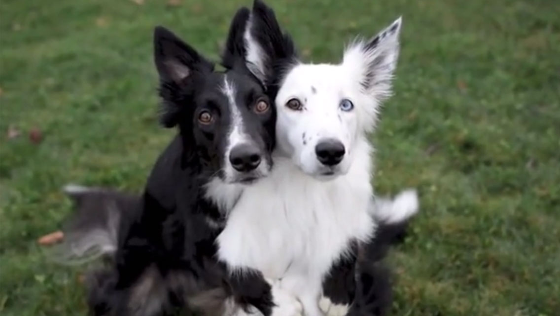 SleuthSayers: Reading, Writing and Arithmetic