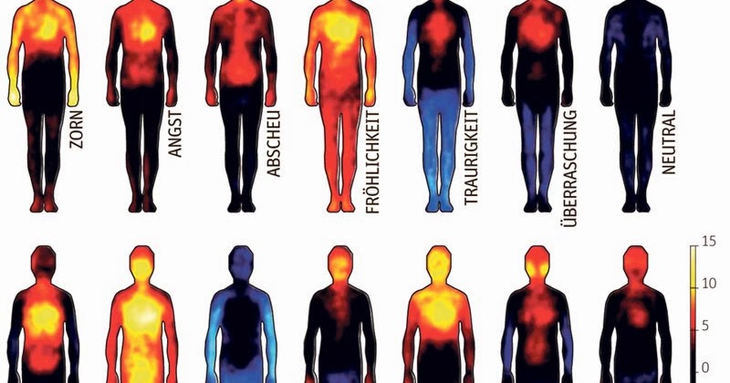 Lebensfreude mit Annelie: Wo im Körper die Gefühle sitzen