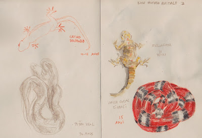 zeroglotte: non-human animals