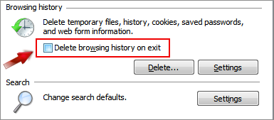 delete IE web history