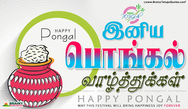 Tamil Pongal Greetings for Wallpapers online, Tamil Pongal Messages and Wallpapers Free, Awesome Tamil Language Pongal Lines online, Happy Pongal Best Greetings and Messages, Tamil Pongal Quotations online, Tamil Pongal SMS for Gf, Tamil Pongal Festival Quotes & Wallpapers, Tamil New Pongal Festival Greetings and Gifts Cards Online.tamil Pongal 2016 Greetings and Messages in Tamil Language, Popular Tamil Makara Sankranti Wallpapers with Nice QUotations, New Tamil Language Makara Sankranti Wishes for Friends, Makara Sankranti Tamil Greetings online, Makara Sankranti Tamil Festival Celebrations, Makara Sankranti Pot Images and Nice Kavithai Greetings, Tamil Popular Makara Sankranti Quotations Free.