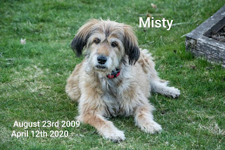 Our Misty/Miggs