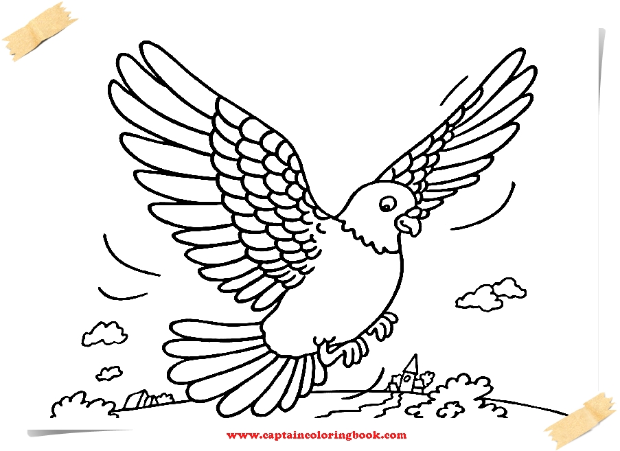 Your Seo Optimized Title