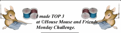House Mouse Challenge Blog
