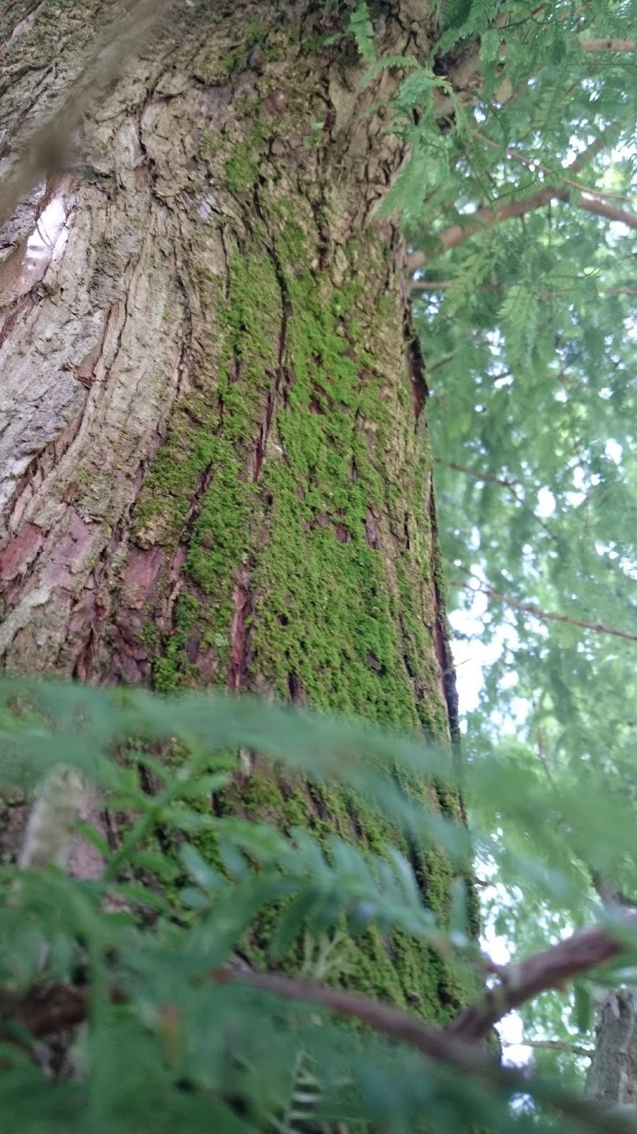 good nature news and bad nature news