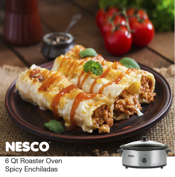 NESCO® Roaster Ovens Dehydrators Small Appliances Jerky Spices