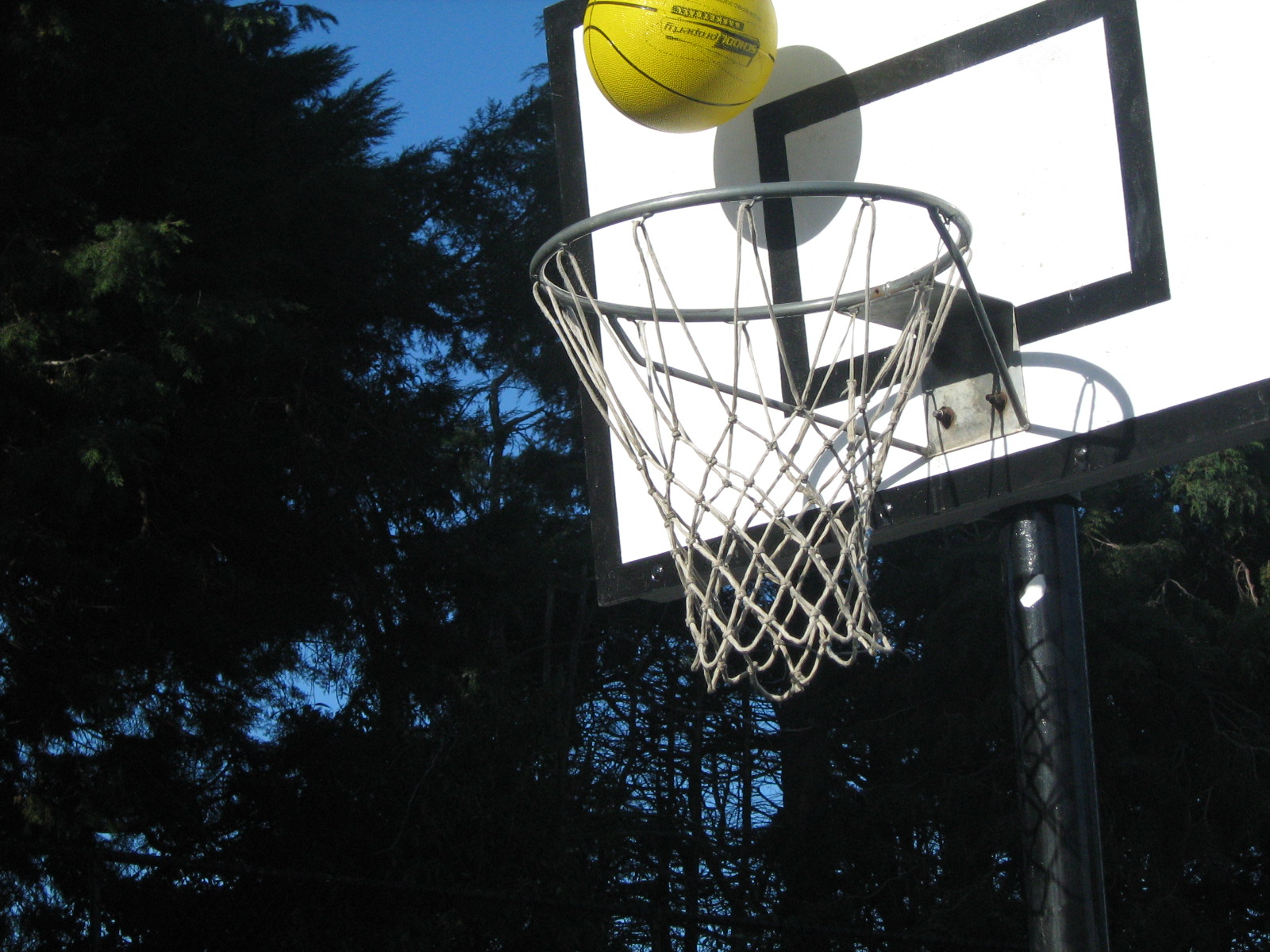 Room 7, Harewood Primary, Christchurch , NZ New basketball goal