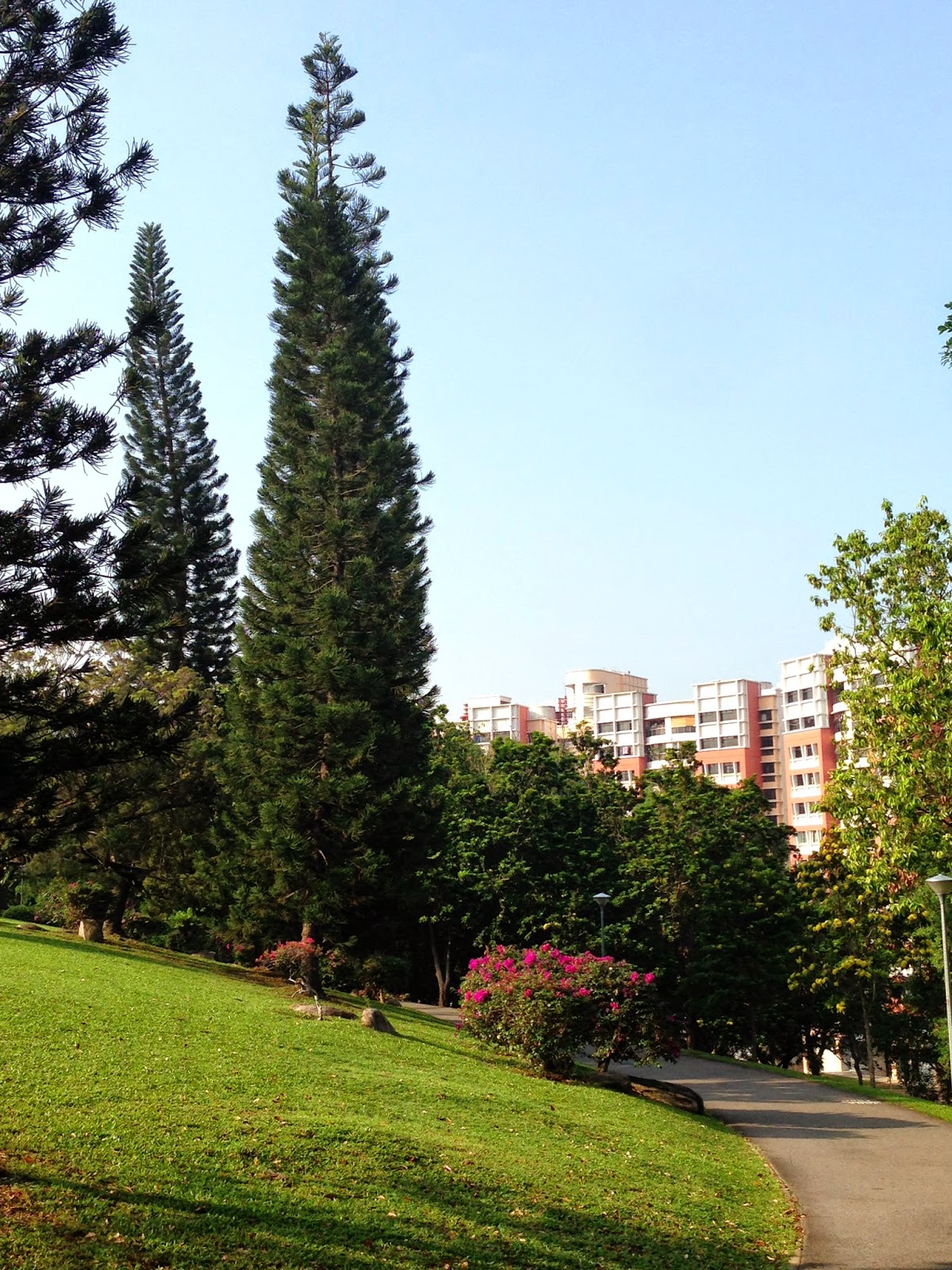 Singapore Walkabout 04/19/14