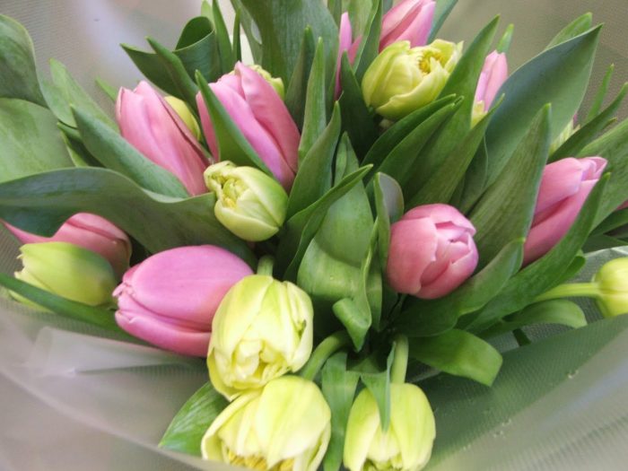 Easter Flowers HD Images Photos with Quotes, Messages