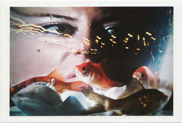dirty photos - noah's ark fauna photo of girl behind a fish glass bowl