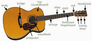 Image result for labelled diagram of acoustic guitar