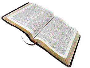 Sagrada Biblia Vulgata en Latin